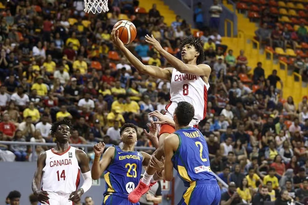 为什么nba球队要(NBA球队试训，他说取消就取消了！模板乔治的新人为何如此自信？)