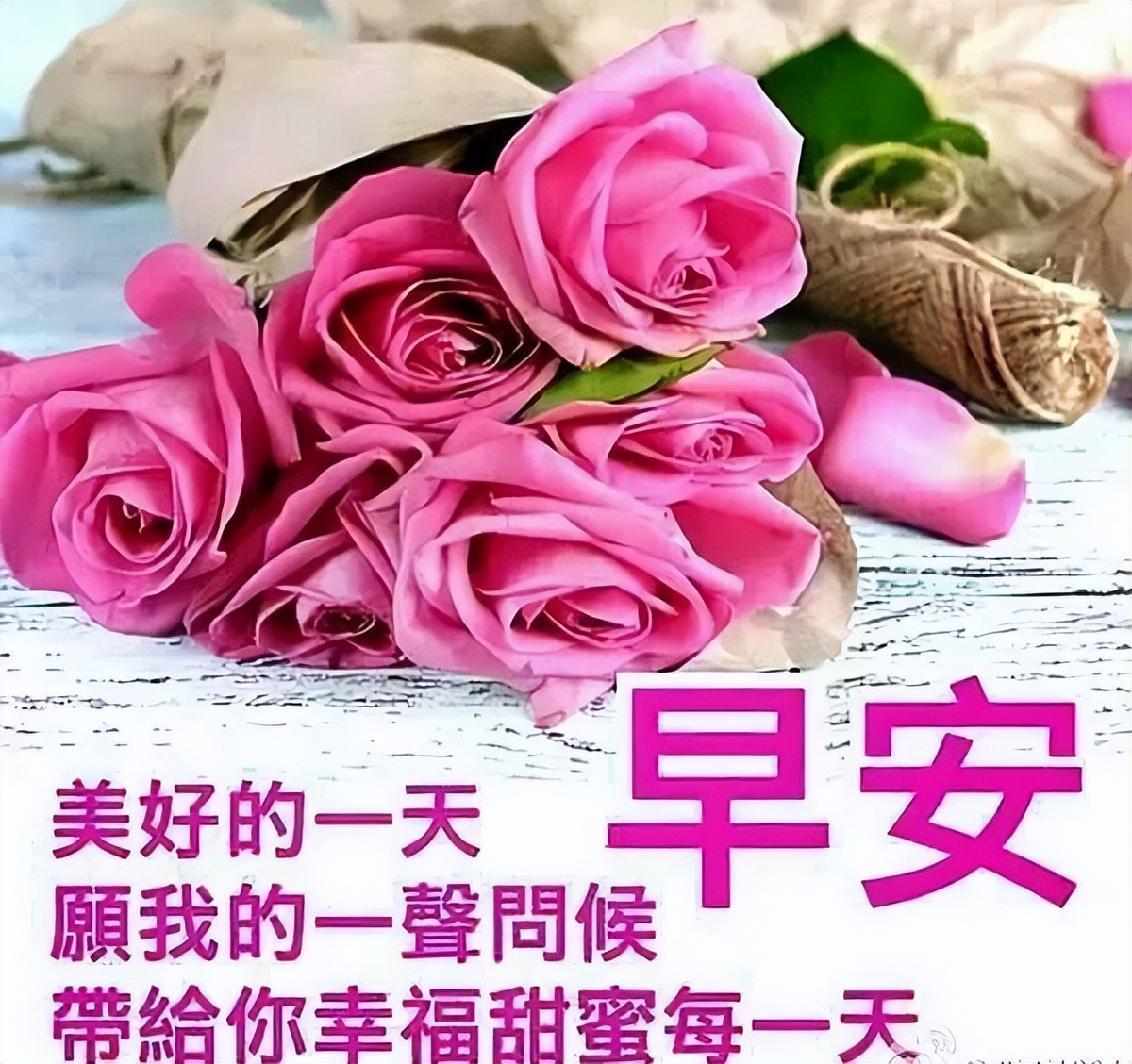 早安朋友圈动态表情图片 鲜花早上好图片带字 感恩的人才能珍惜幸福图片