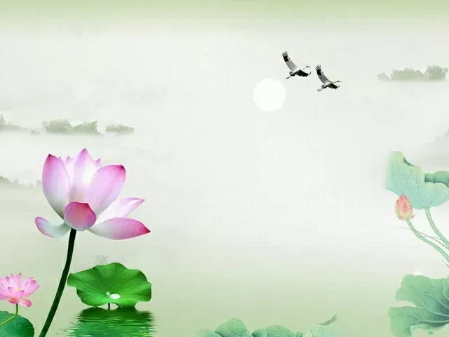 杨绛先生说终不是那八面玲珑的女子，讨不得四海八荒的喜，只落得围一炉寂静的烟火