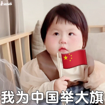 可爱表情包  我为中国举大旗