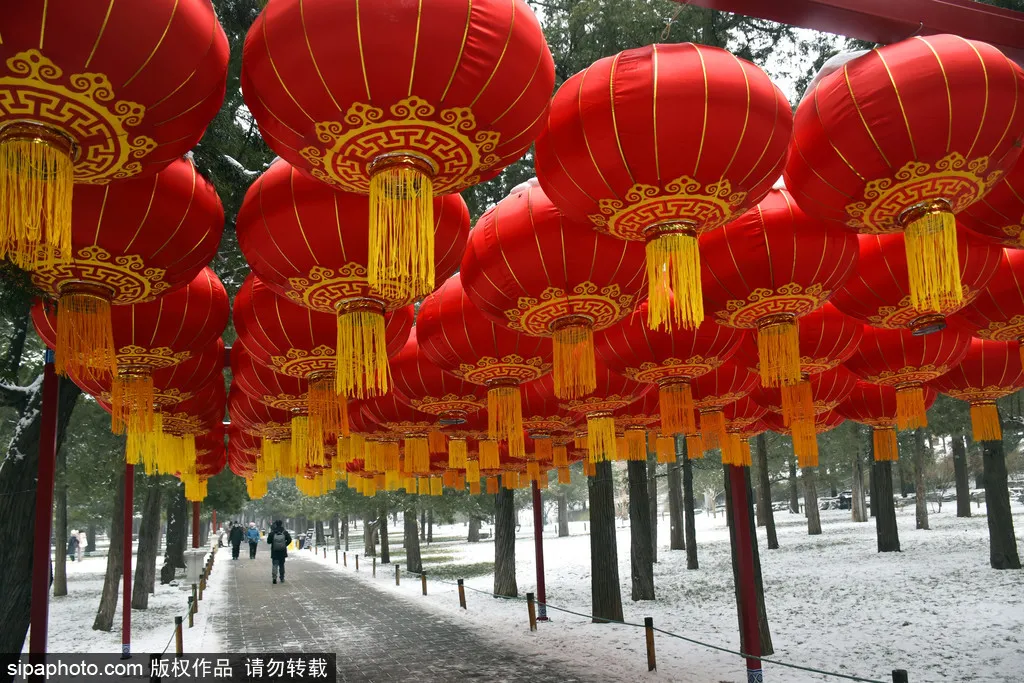 20张门票免费送！北京这些令人心动的“神仙”演出，假期去正好！