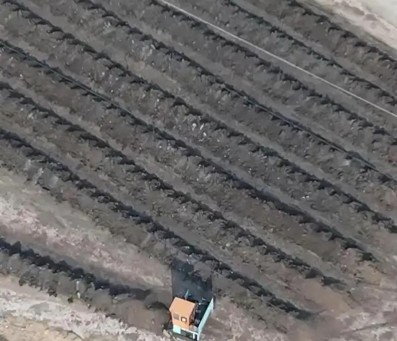 潍坊诸城市龙都街道上百亩土地露天晾晒粪便 回应：三次整治又“死灰复燃”