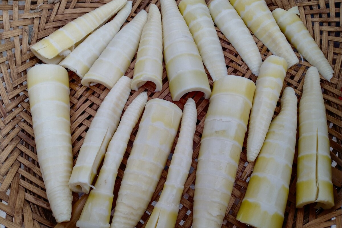 竹笋怎么保存新鲜竹笋怎么保存(鲜笋保鲜时间短,试试这种保存方法