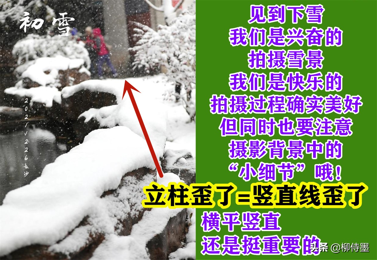 银装素裹分外妖娆，看点评学摄影，把雪景照片拍出新意