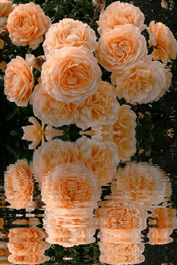 你的微笑，温暖的力量