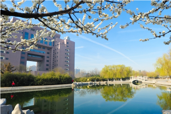 2022年艺术类招生540人，山东理工大学艺术类专业报考难度解析