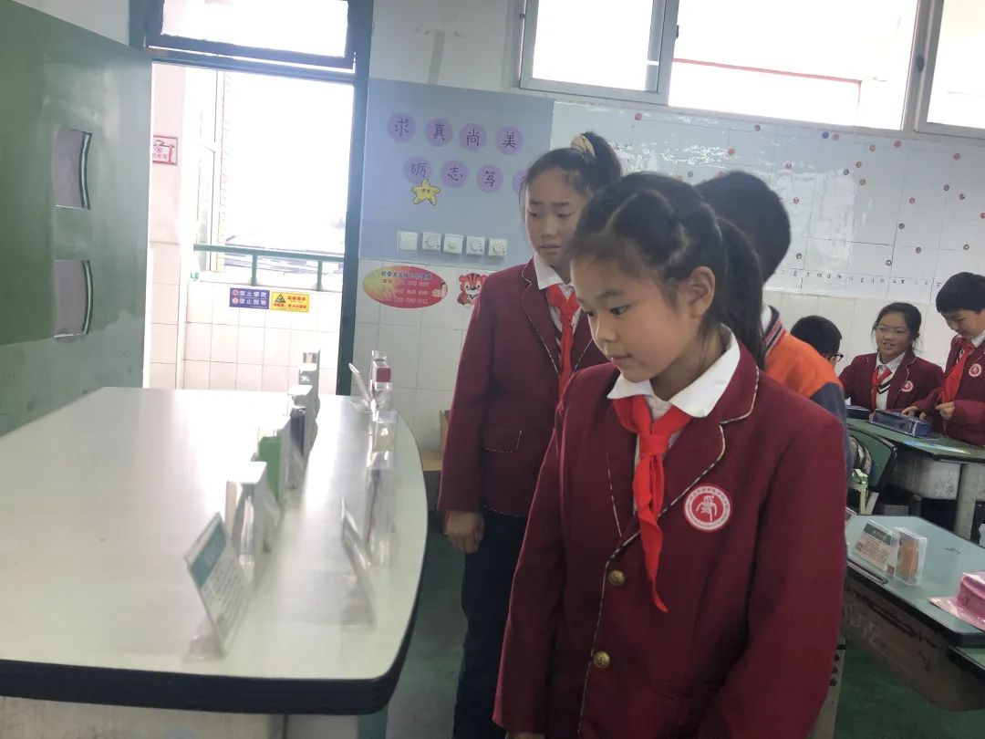 太平街道禁毒工作领导小组禁毒宣传走进合江小学开展校园教育活动