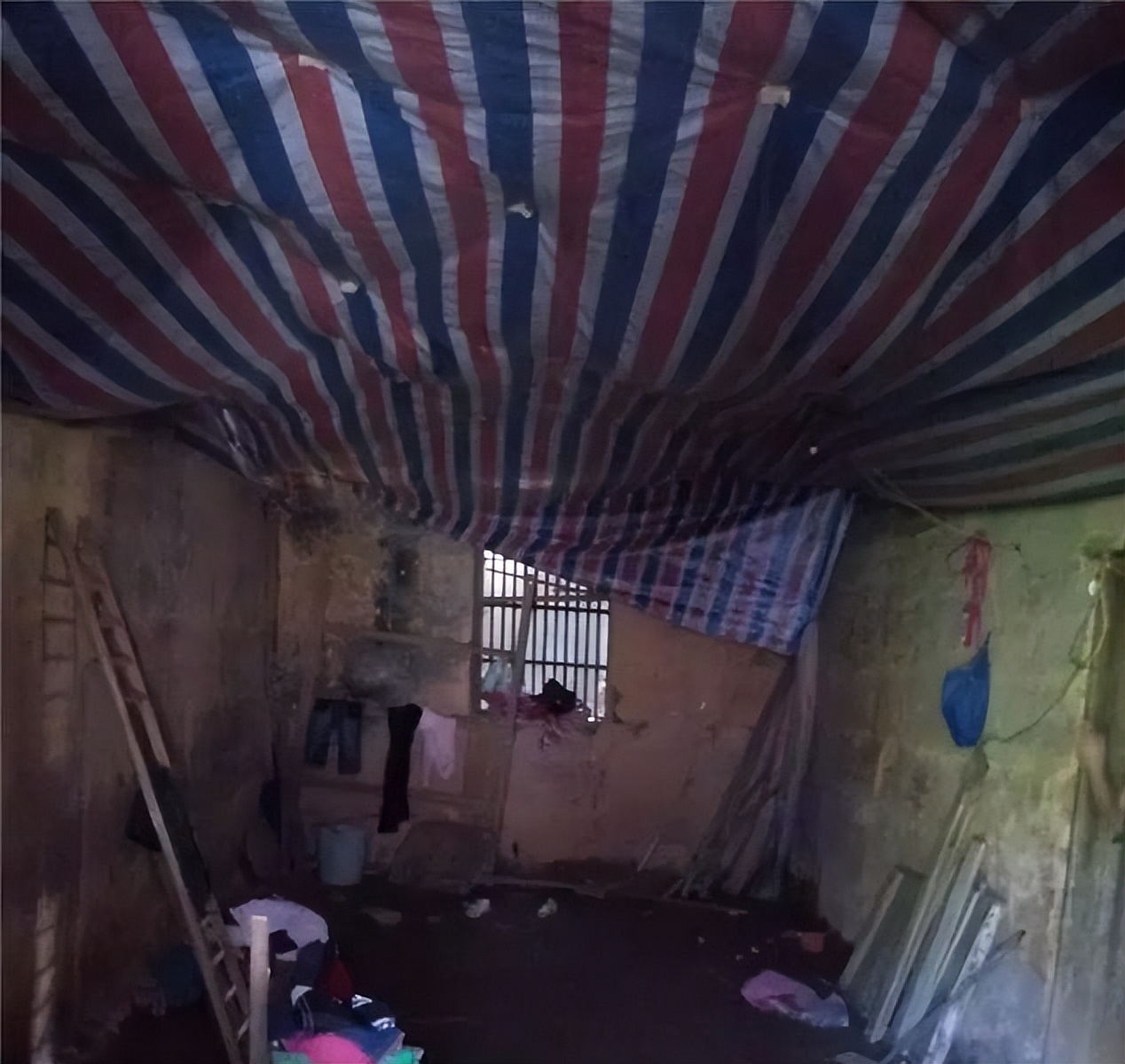 江西才女伍继红：94年考入人大，二婚嫁光棍靠低保度日，为什么？