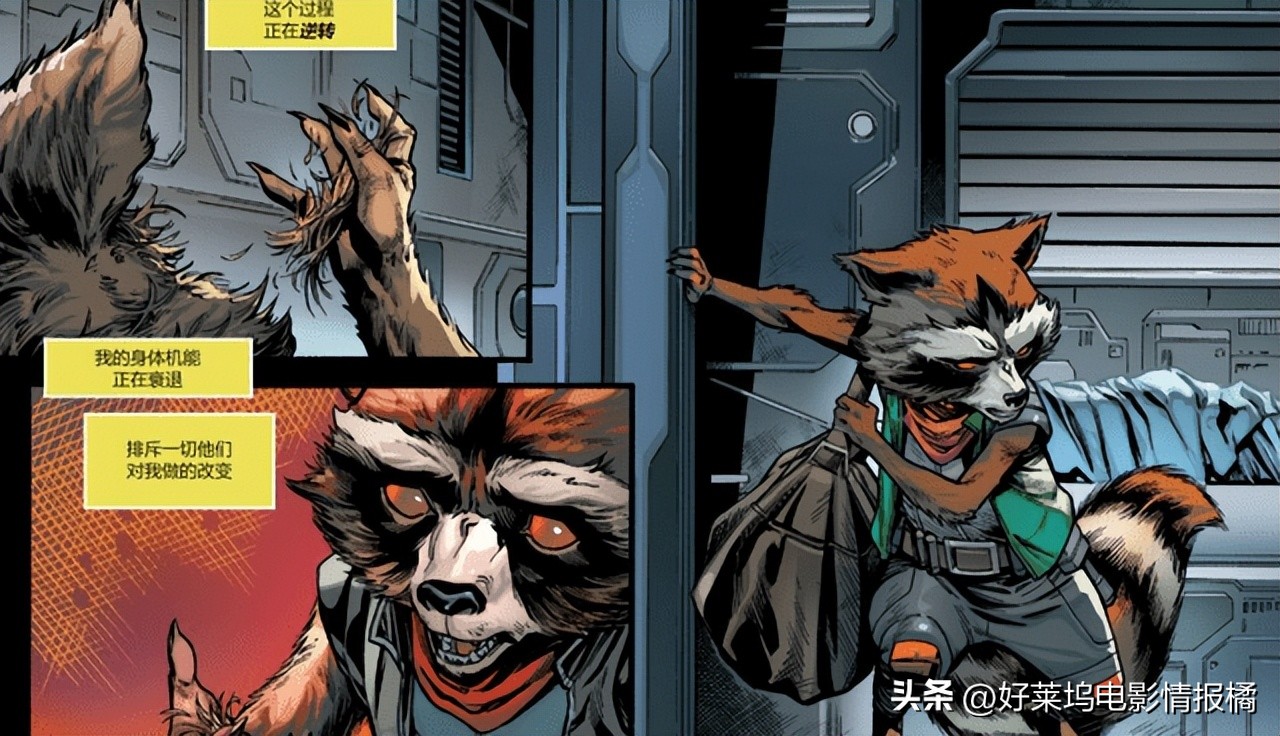 《银护3》将揭开火箭浣熊角色起源伤疤？浣熊这次可能要下线了