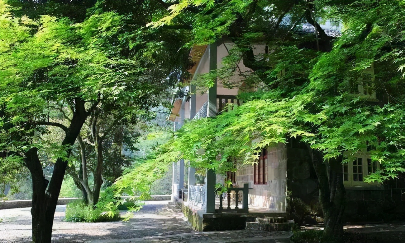 陪你去隐居(待你厌倦江湖,我陪你归隐山下)