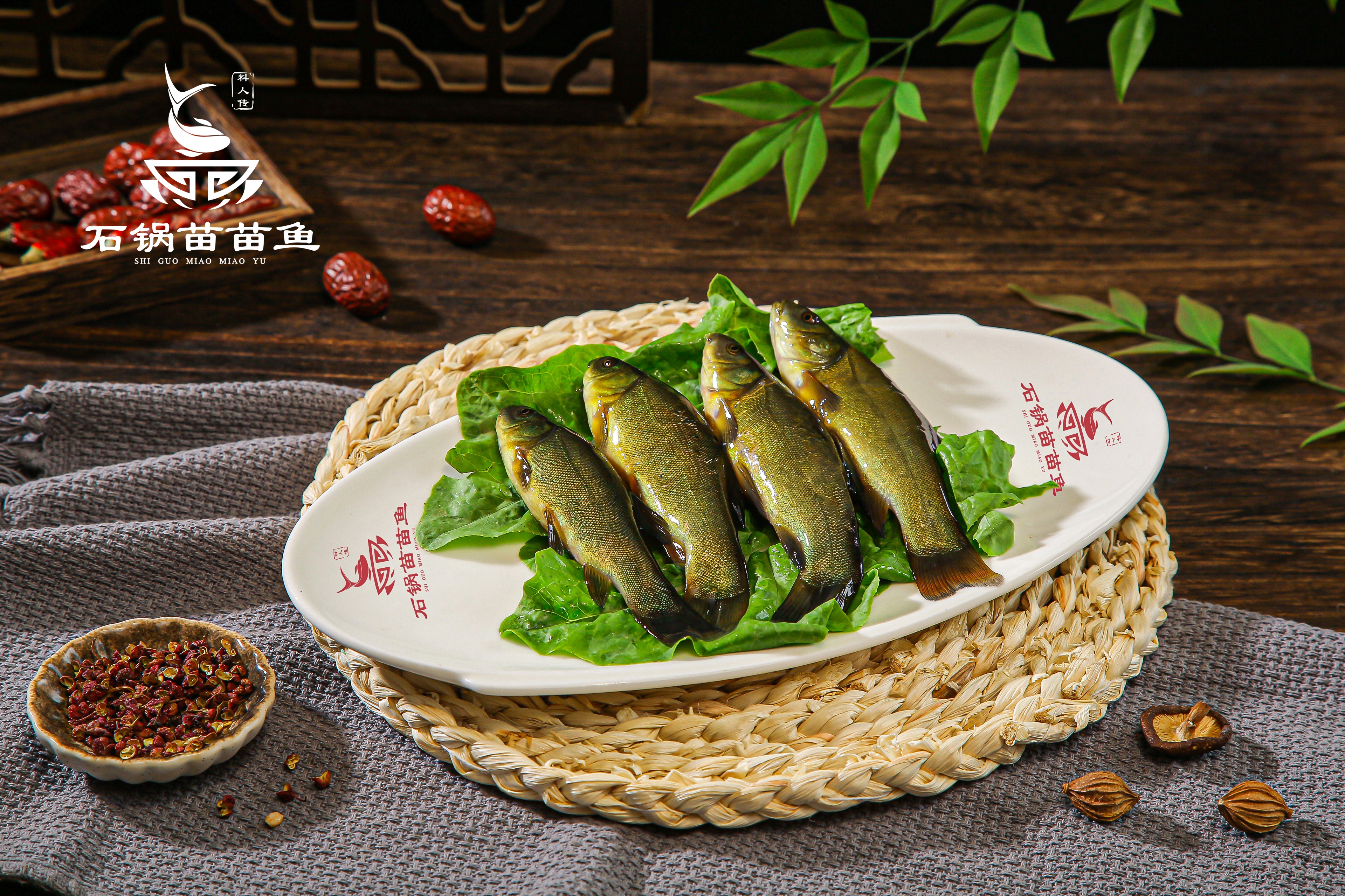 思旭石锅苗苗鱼:加盟火锅,新手小白的福音