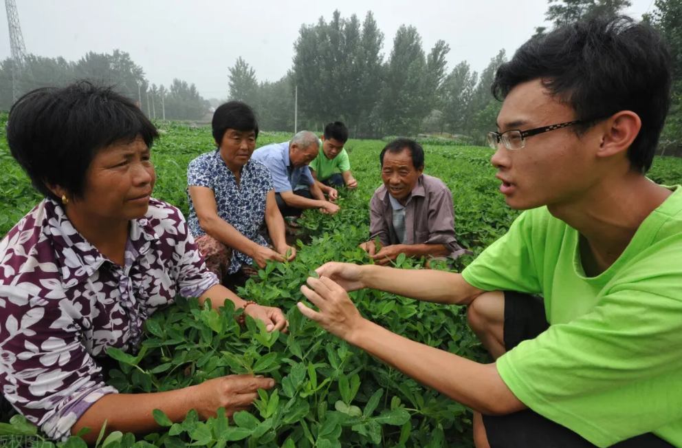 听起来像公务员，但这4个岗位其实都是“临时工”，报考还需谨慎