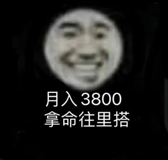 可爱搞笑的表情包：月入3800，拿命往里搭