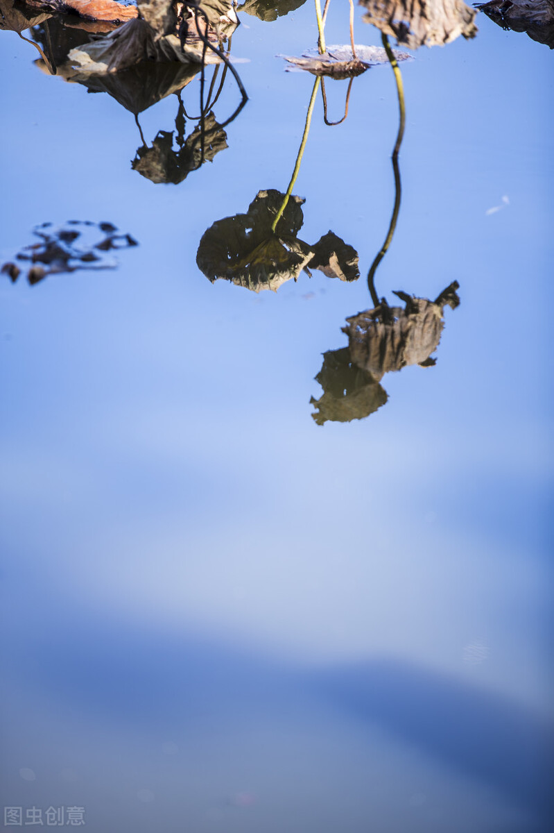 心香禅意佛系图片，唯美意境，净化心灵，静心禅语