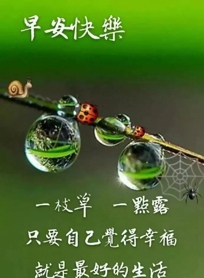 今日早安表情包，长念友谊，非常时期照顾好自己，疫情后再见图片