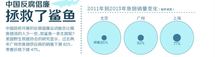 姚明的呼吁让中国人不吃鱼翅，但鲨鱼为何更濒危了？