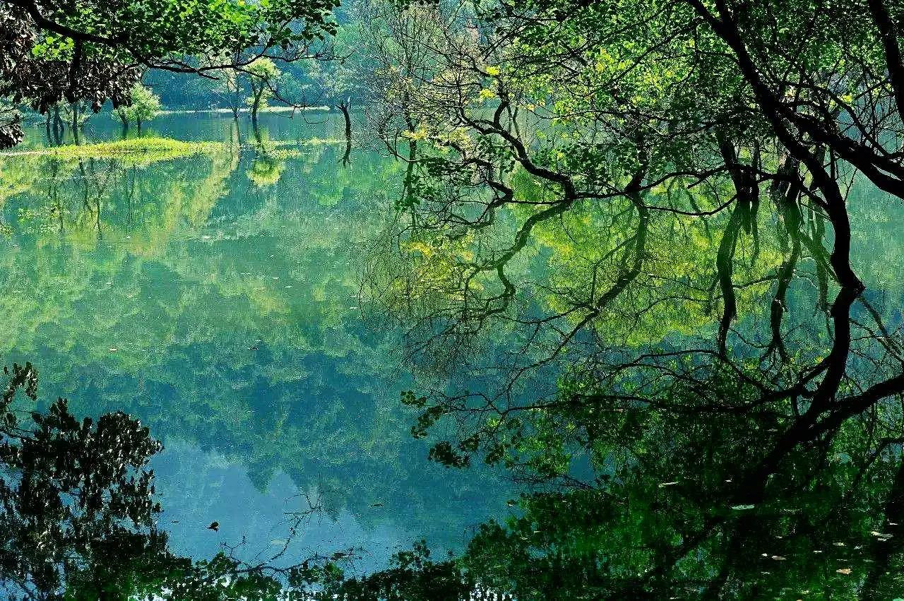 保持内心的那份宁静,困难就是水面泛起的短暂涟漪,自是心体澄明