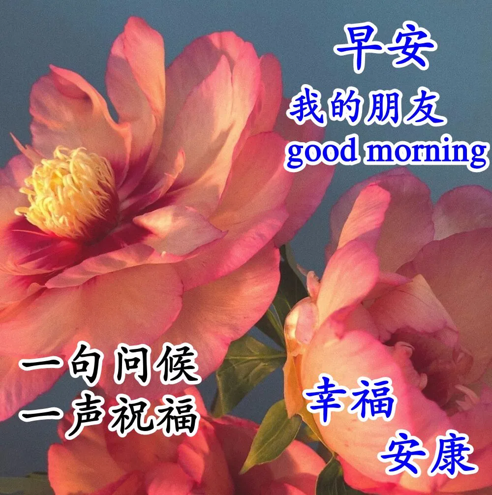 周一早上正能量问候表情图片大全 祝大家幸福满满、喜事多多图片