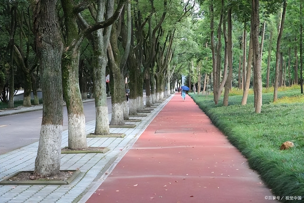 2022年浙江高校排名更新出炉，浙江大学实至名归，宁大惜败工大