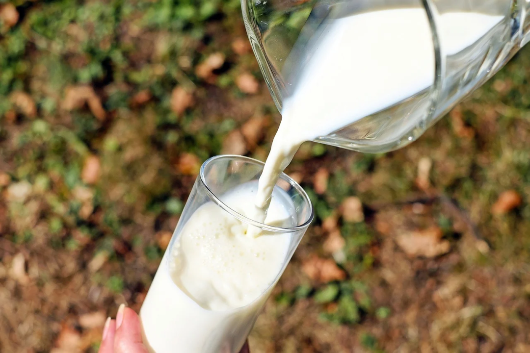 买牛奶要选高钙高蛋白的？其实你一直买错了