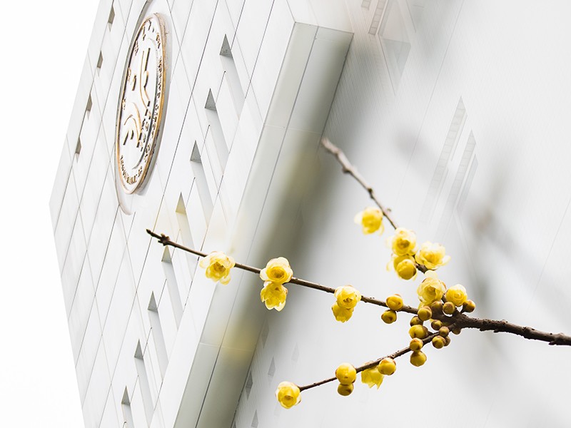 骄傲！最近，重庆一高校2次同时被中宣部、司法部、全国普法办表彰！