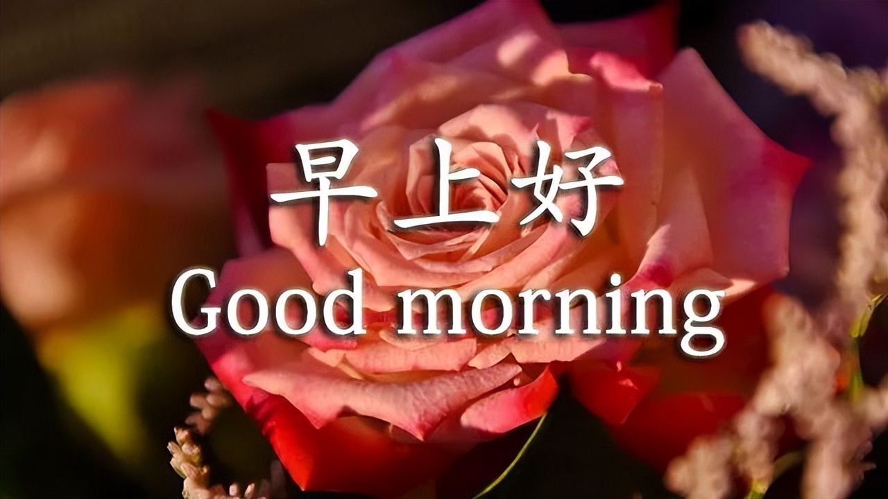 春日特漂亮的清晨鲜花早上好图片带字，祝愿工作顺利、生活甜美图片