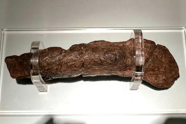 世界上最贵的十大“粪便”，猫王粘有粑粑的脏内裤价值5000英镑