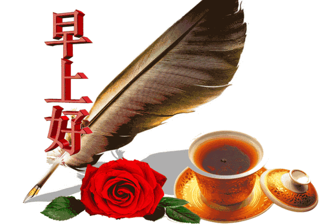 周三清晨早安心语问候语 清晨鲜花祝福动态图片 放下昨天珍惜今天图片