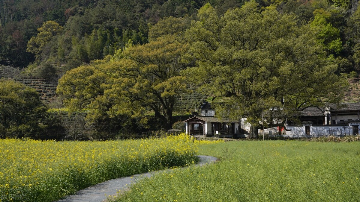 外婆家的小山村