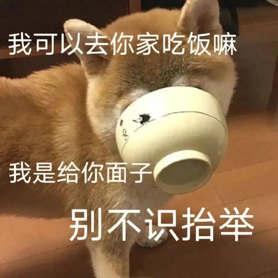 你还能拿我怎么样