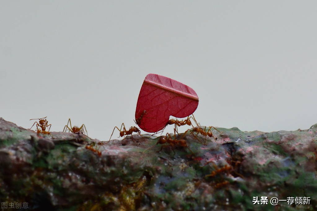 人一生如蝼蚁,籍籍无名,溶于黄土