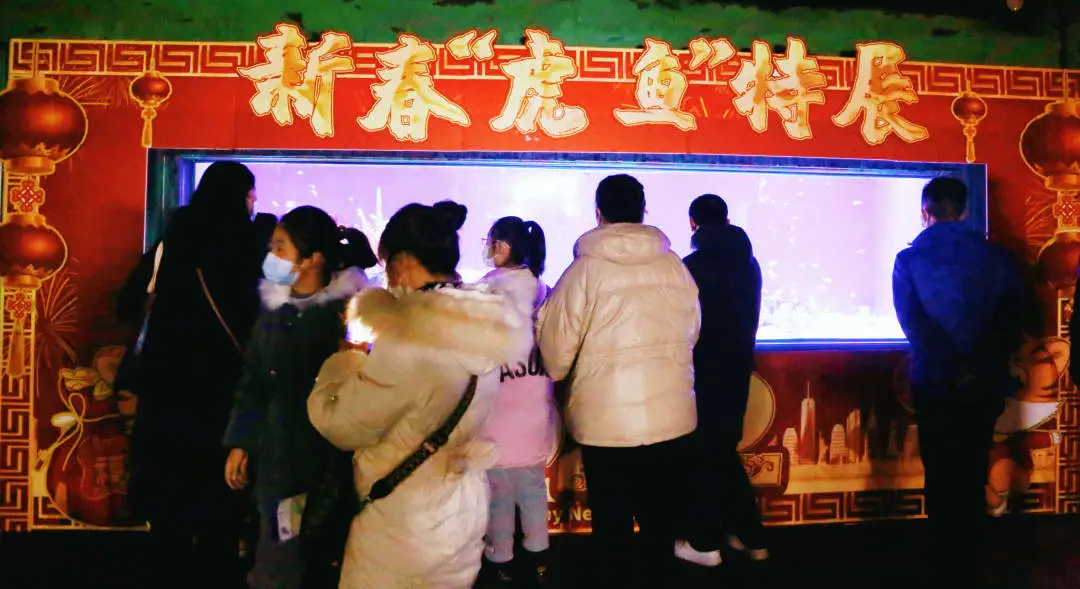 斥资千万!皖北首家!今起正式开放