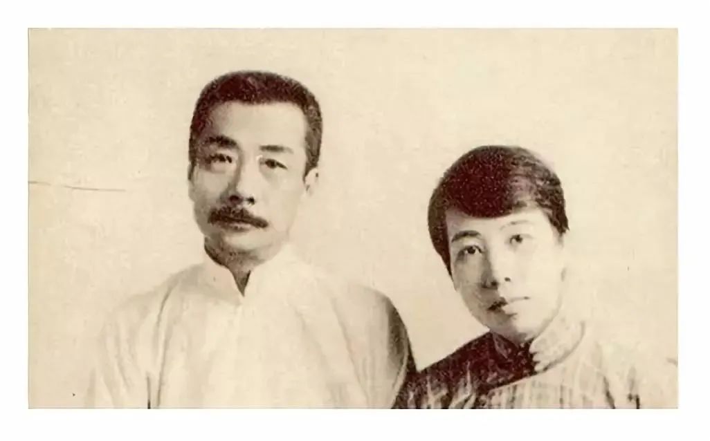 夢見假花,夢見假花是什么預兆