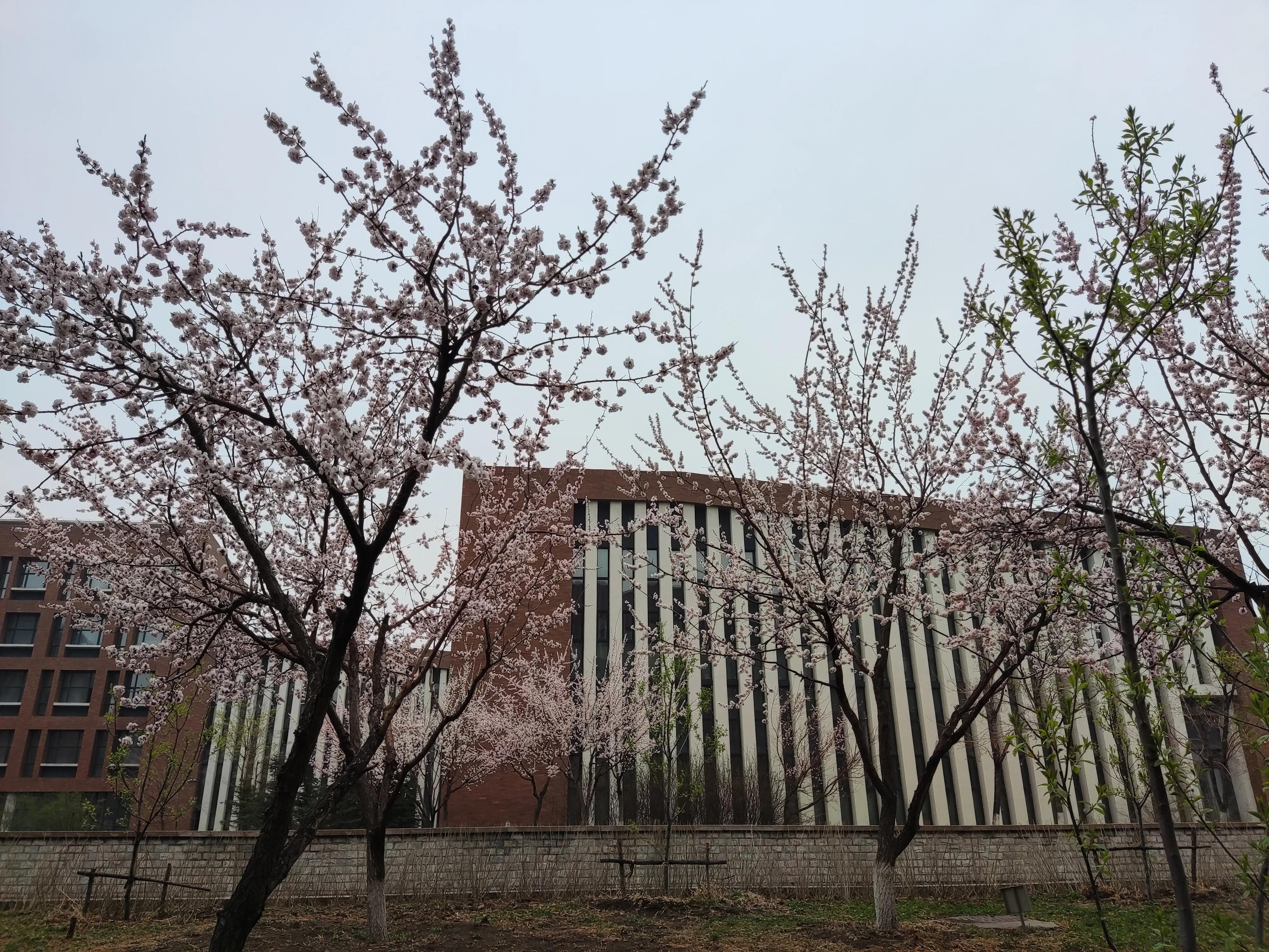 卡伦湖大学简介(二本大学推荐高考生来了之后都不想毕业)