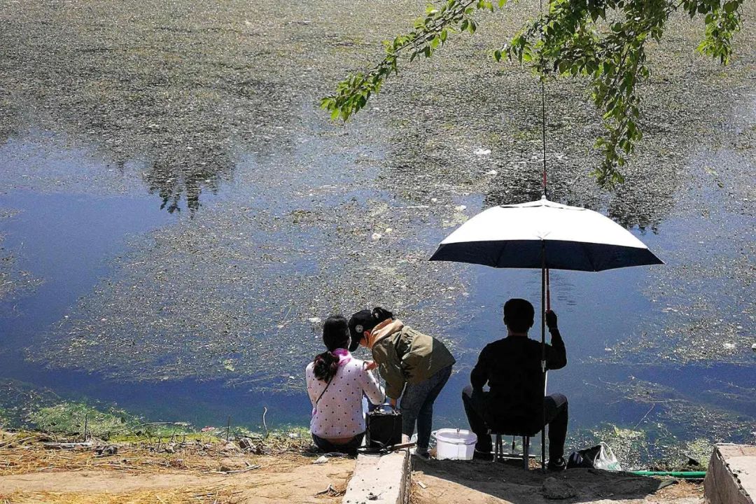 男人:钓鱼和不钓鱼,现实生活中的差距