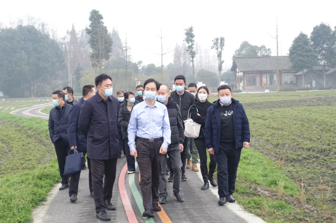蒋蔚炜在石羊镇调研，强调要发挥中医药产业优势，全面推进乡村振兴