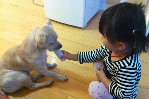 家养猫咪有狂犬病毒吗(狂犬病死亡率高达99.99%，剩下的0.01%是谁？告诉你隐藏的真相)