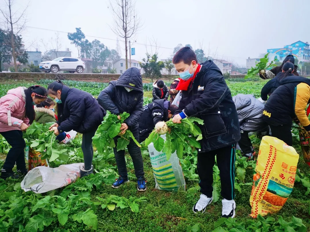 「城南小学•德育工作」小基地大收获 劳动实践快乐多