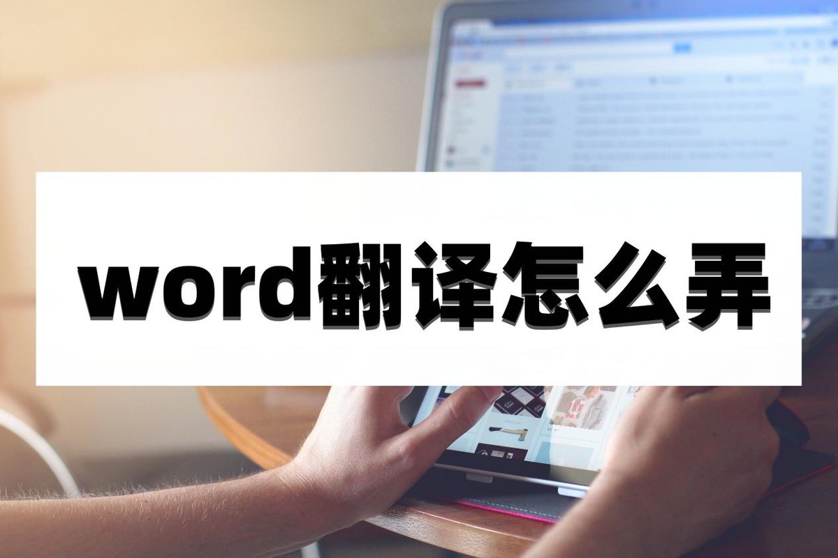 word翻译怎么弄(word文档怎么个别翻译)