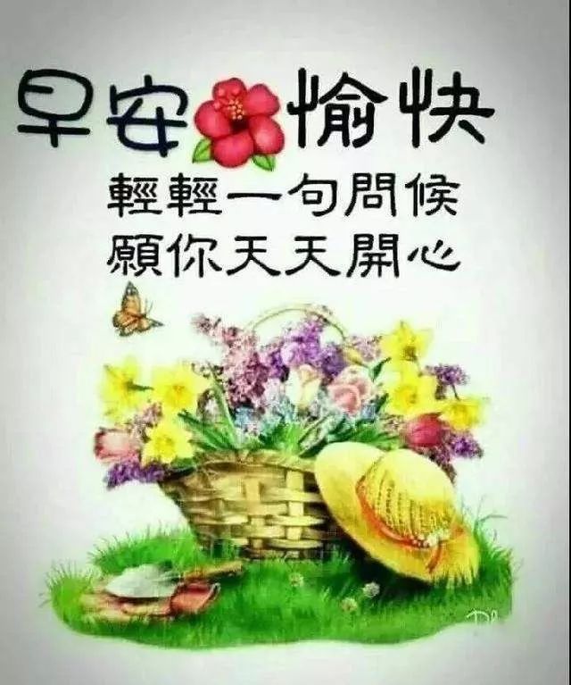 早上好阳光祝福语图片早安心语 放手过去、享受现在、拥抱未来图片