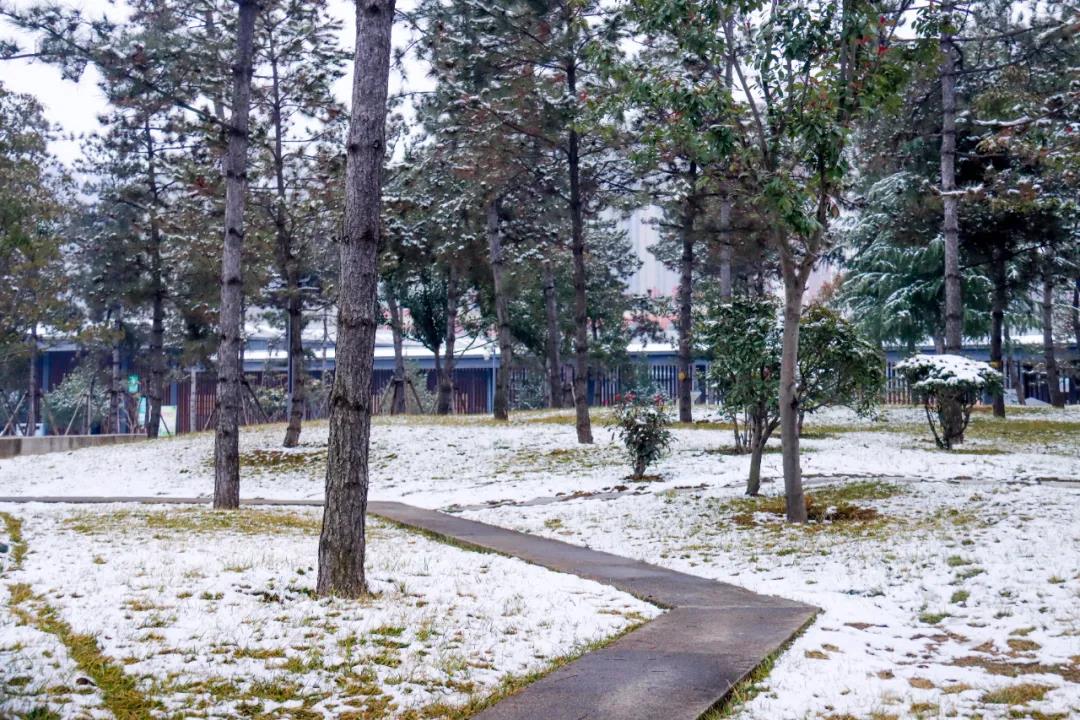 ����ĵ�һ������ѩ�������Ķ�����