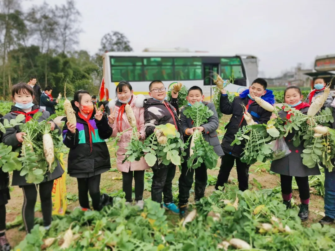 「城南小学•德育工作」小基地大收获 劳动实践快乐多
