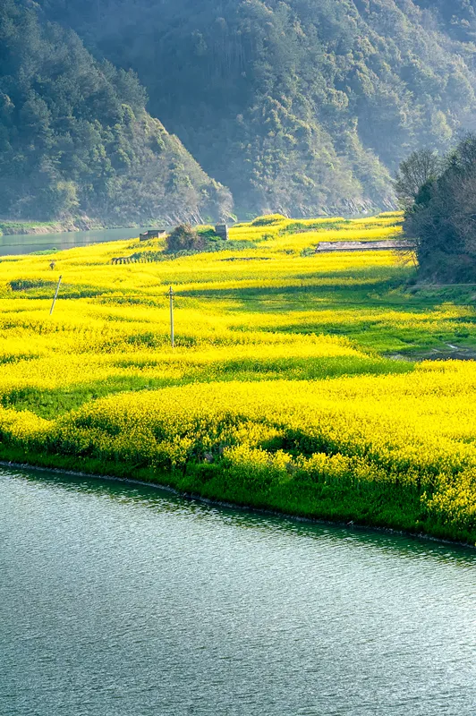 快开啦！这些地方的春景正在悄悄席卷全国，大气又美丽，别错过