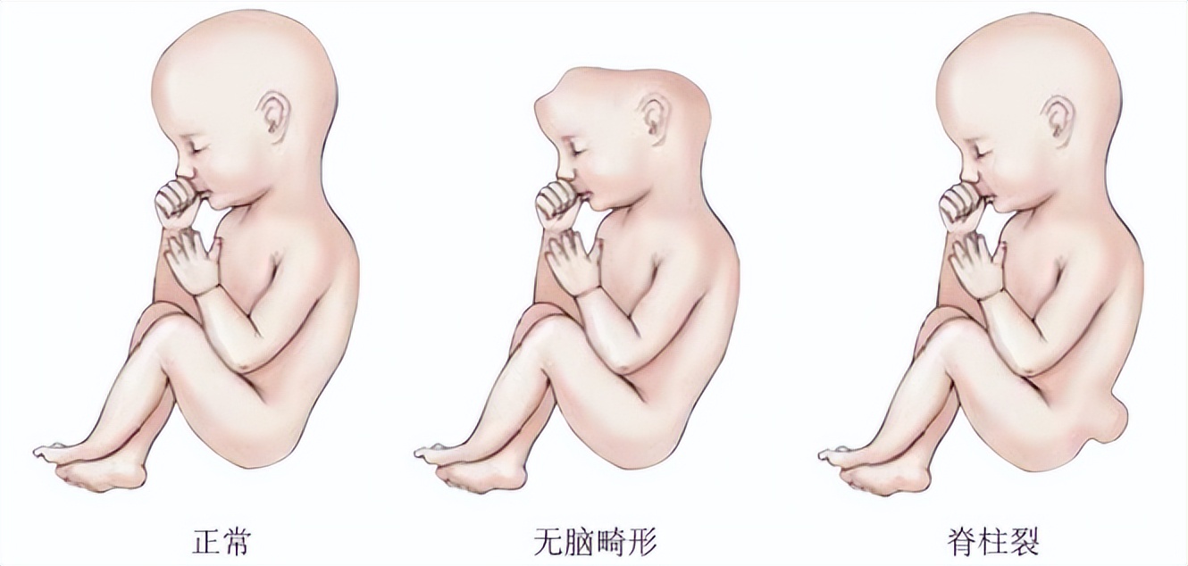 备孕、怀孕为什么都在吃叶酸？一文读懂孕期与叶酸