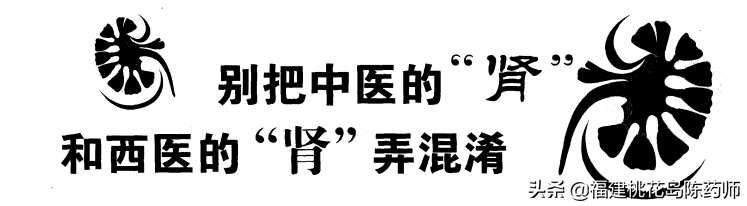 浅谈中医养生补肾的重要性(浅谈中医养生补肾的重要性和意义)