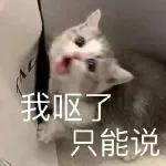 猫猫搞笑表情包