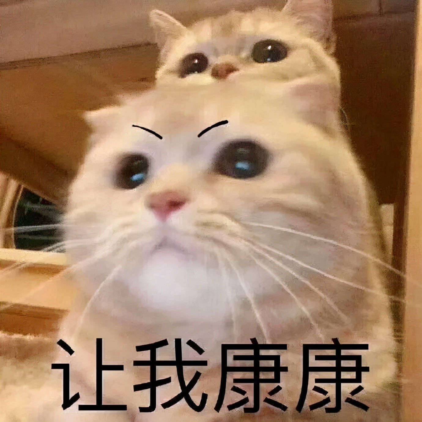 无法逃避的尝试！“风水大师”也没有计算出自己的生命中有这个“劫”。