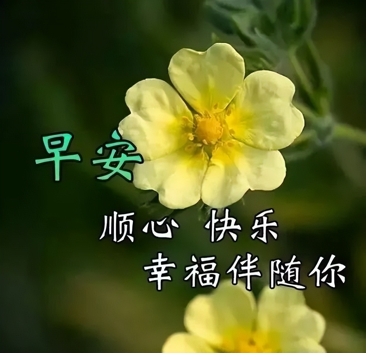 唯美温馨的早上好动态表情包 幸福满满，快乐每一天图片