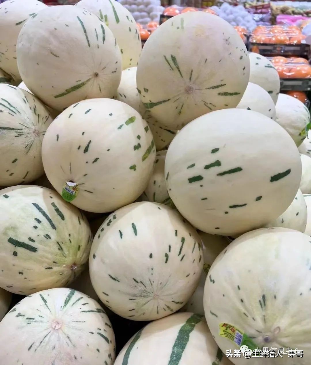 哈密瓜、蜜瓜、网纹瓜、香瓜、羊角蜜傻傻分不清？看完就明白了