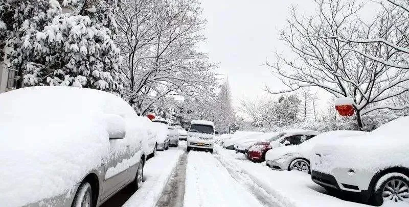 暴雪卷土重来!本周郑州限行、上班时间有变